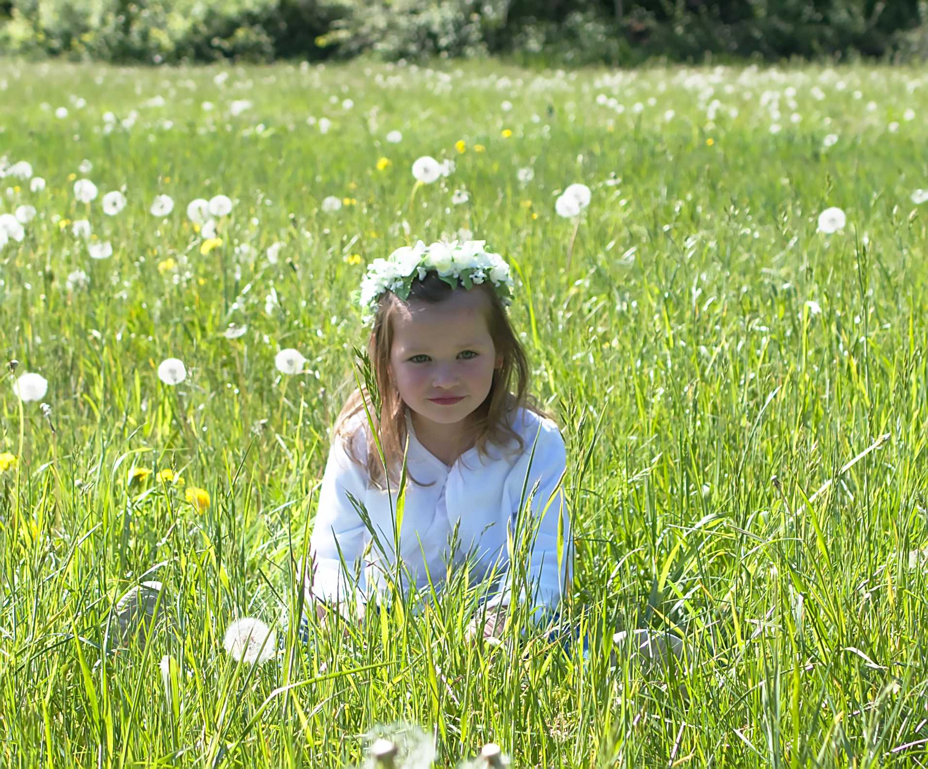 Mädchen sitzt in einer Wiese im hohen Grass Pusteblume Löwenzahn